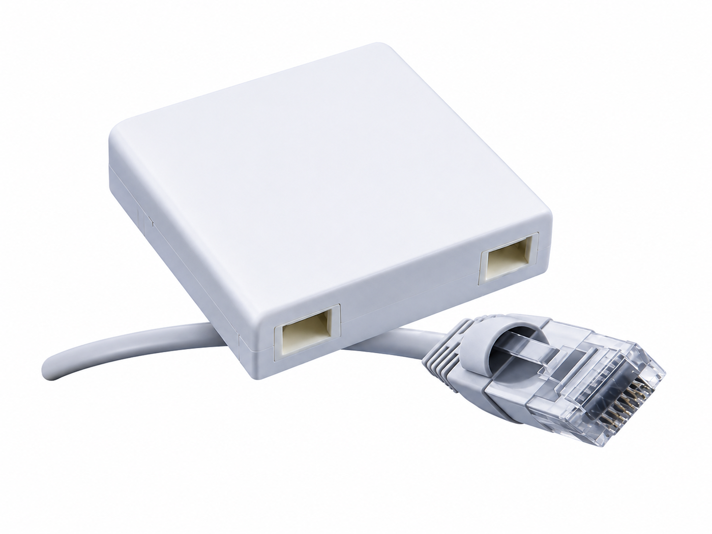 2 FB 2 Port FTTH Box